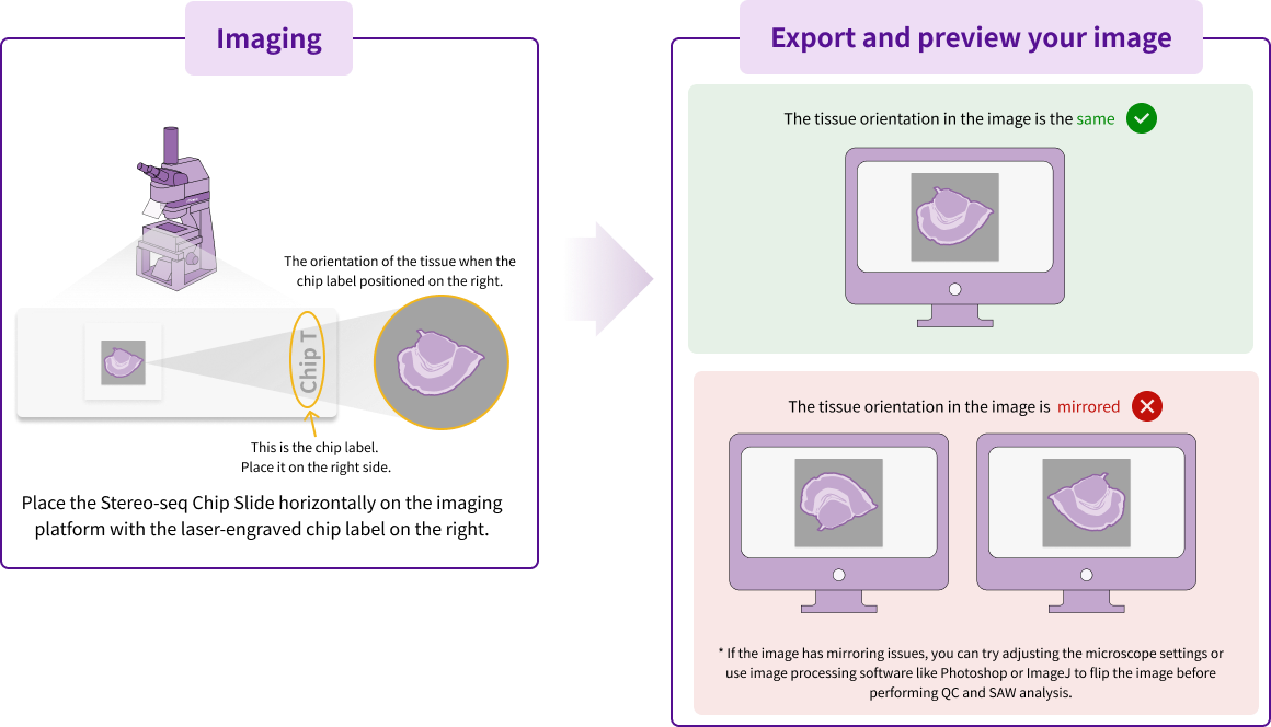 Figure 5 The correct image orientation required for automatic image registration